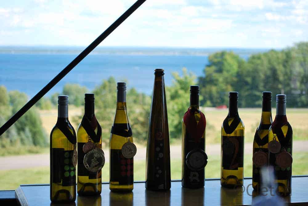 Vineyard rows on Old Mission Peninsula near Traverse City