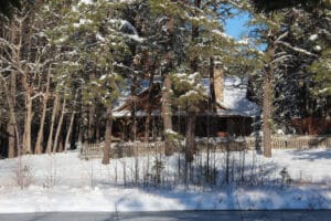 Snow-covered cabin surrounded by pine trees